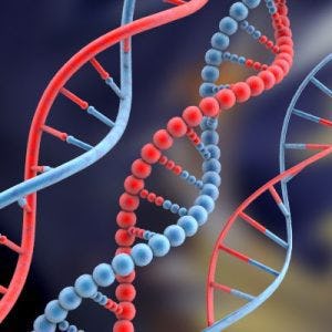 Hoe ontwikkelt u optimalisatie-DNA?