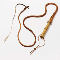 Belegger snapt bullwhip beter dan CEO