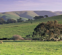 Duurzaam over the top? Blog van Jan Scheffer