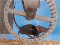 Erwin Faber: zorglogistiek een inhaalrace of ratrace