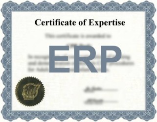Doelgroepcertificatie van ERP-consultants
