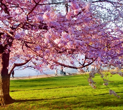 Marc Mallant over de wisseling van de seizoenen en de vraag naar producten