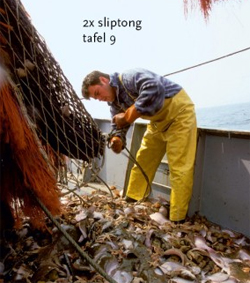 Nederland = Logistiek