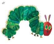 Rupsje nooitgenoeg: blogpost over duurzame logistiek door jan hoogeboezem