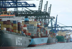 Internationale supply chain, bureaucratische jungles