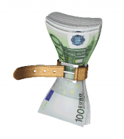 Zorglogistiek bezuinigen ziekenhuizen