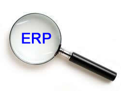 Het oog van de ERP-meester