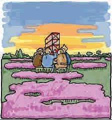 Omzet groeit, organisatie ook?