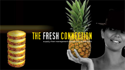 Internet supply chain game: The Fresh Connection