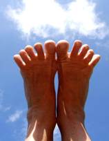 Carbon Footprint / CO2 emissie