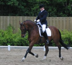 Reverse Bullwhip Effect oefening in ketendressuur