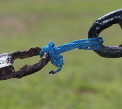 supply chain puinhoop erik van egmond