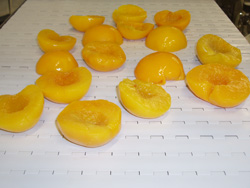 Hygiënische transportmat voor de voedselindustrie