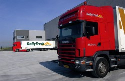DailyFresh