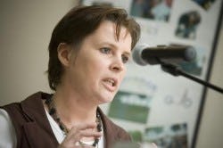 logistiek insight frans maas