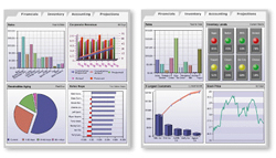 SAP-gebruiker wil betere rapportages
