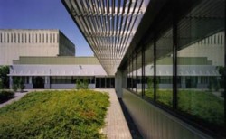 Jan de Rijk Roosendaal