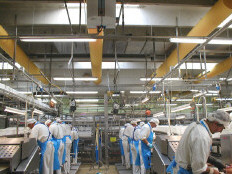 Voedingsmiddelenindustrie