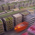 Floraholland