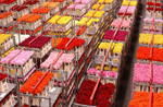 Bloemen export