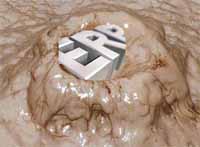 ERP met modder besmeurd