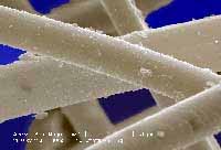 Camfil luchtfilters aan de slag met Routing International