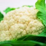 Bloemkool en witlof in groentedc in Noord Holland