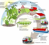 Traceerbaarheid in de voedselketen