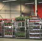 Proef toont nut RFID in bloemensector aan