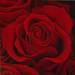 Topdrukte voor Valentijn bij FloraHolland