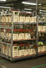 LPR bij FloraHolland in gebruik genomen