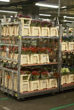 FloraHolland