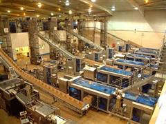 Vestiging van Pinguin in het Verenigd Koninkrijk