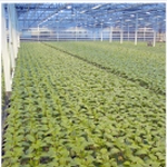 Plantenkwekerij Vreugdenhil integreert softwaretoepassingen