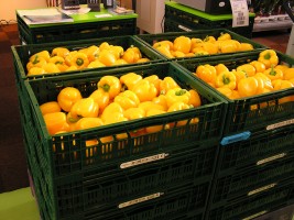 Meer en meer logistiek op tuinbouwbeurs