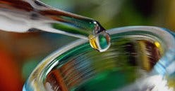 The Fresh Connection, eerste ronde