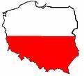 Poolse taal in logistiek