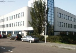 MVO