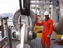 Van Beest profiteert van nieuw ERP