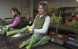 Poolse uitzendkrachten goedkoper dankzij eigen CAO - Foto ANP