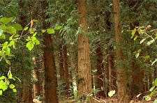 Geld besparen met groene logistiek