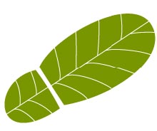 IFS lanceert Eco-footprint managementtool