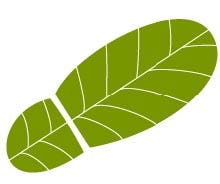 IFS lanceert Eco-footprint managementtool