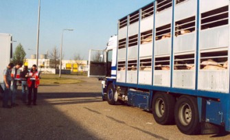 Veetransport