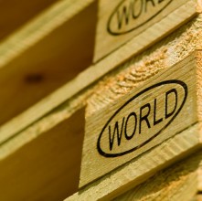 World pallet