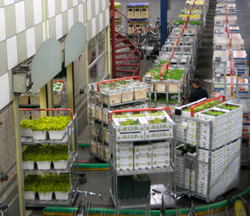 FloraHolland blijft investeren in oplossingen die de dienstverlening zullen verbeteren