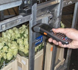 Casio DT-X7 scanner in gebruik bij FloraHolland