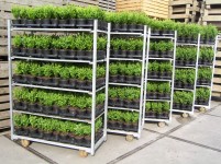 Het dure onderhoud aan al dan niet illegale Deense karren is de inzet van een kort geding vandaag die ondernemer Van Vliet heeft aangespannen tegen Container Centralen.