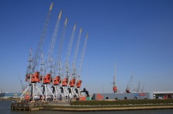 Seabrex is overgenomen door het Belgische Sea-Invest 