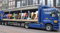 Gefco olifant